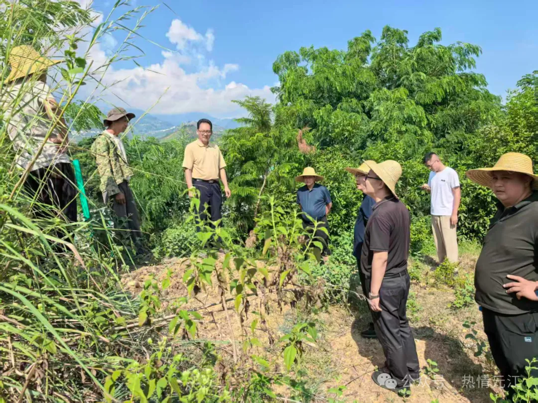 640 (11).jpg 640 (11).jpg